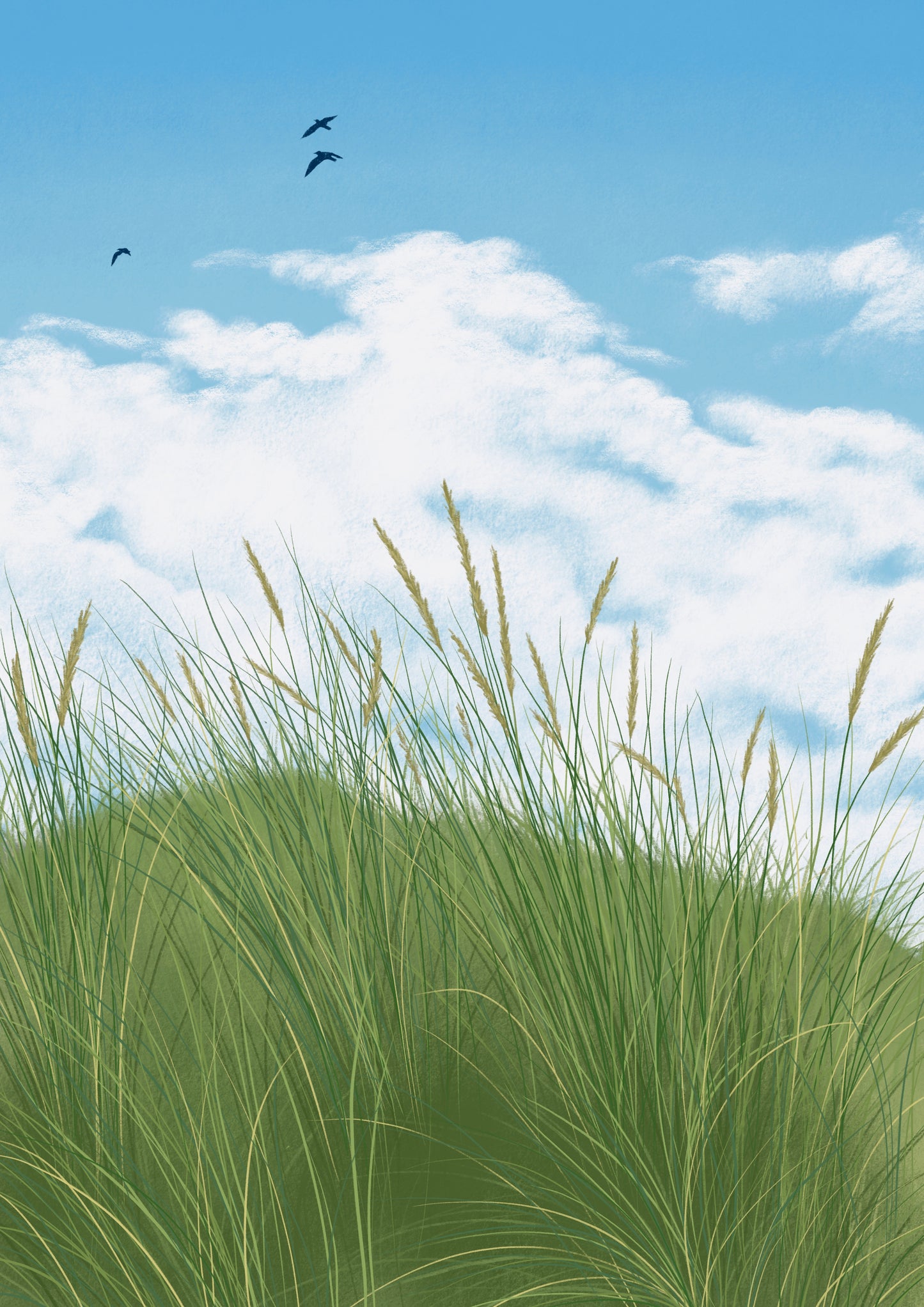 grassy dunes - art print