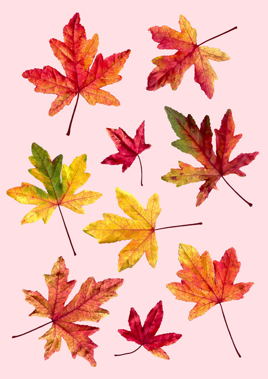 fallen leaves - art print