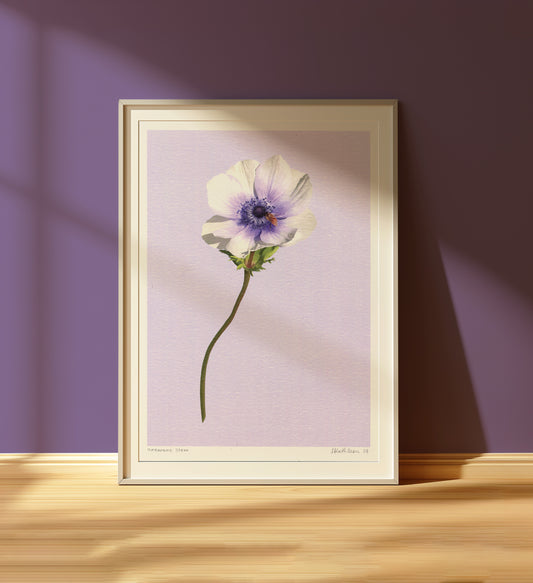 anemone stem - art print