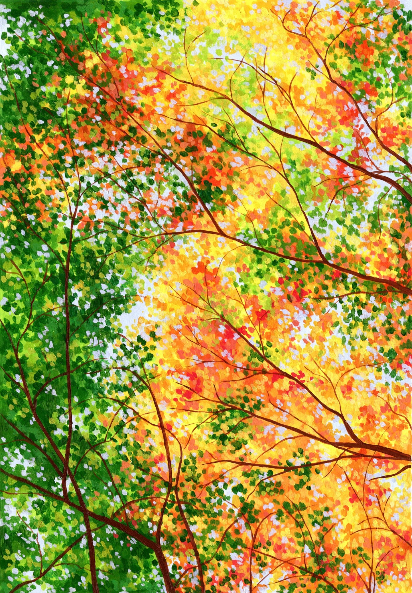 the changing canopy - art print