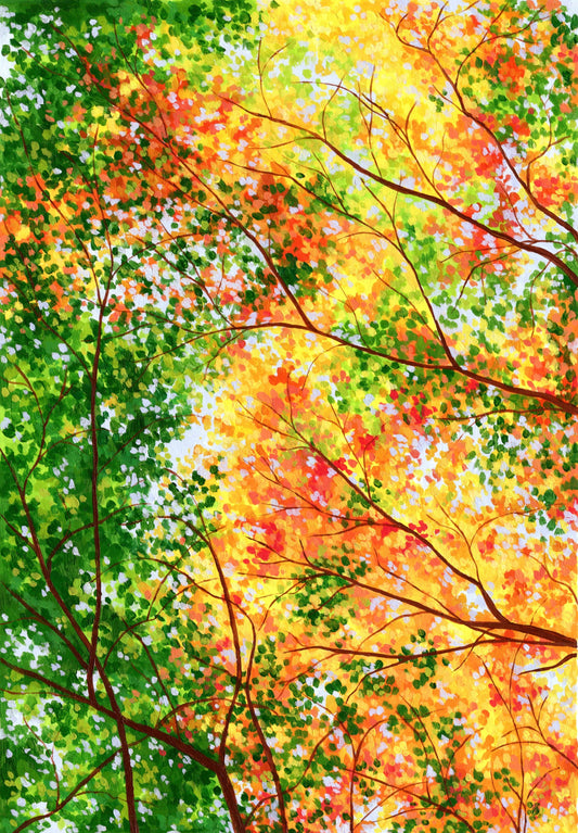 the changing canopy - art print