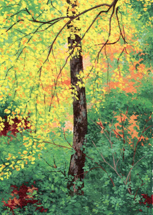 autumn glade - art print