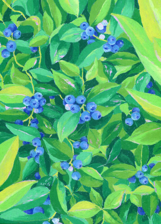 an abundance of blueberries - art print