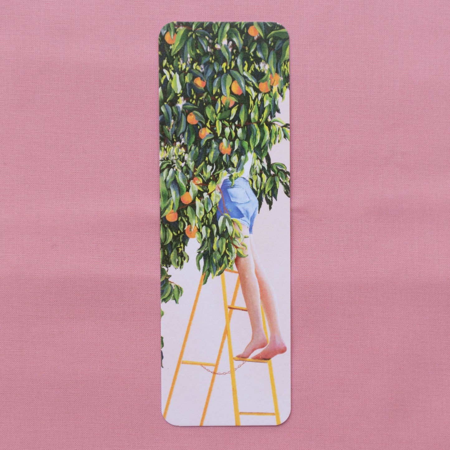 bookmark 5 pack - in the garden