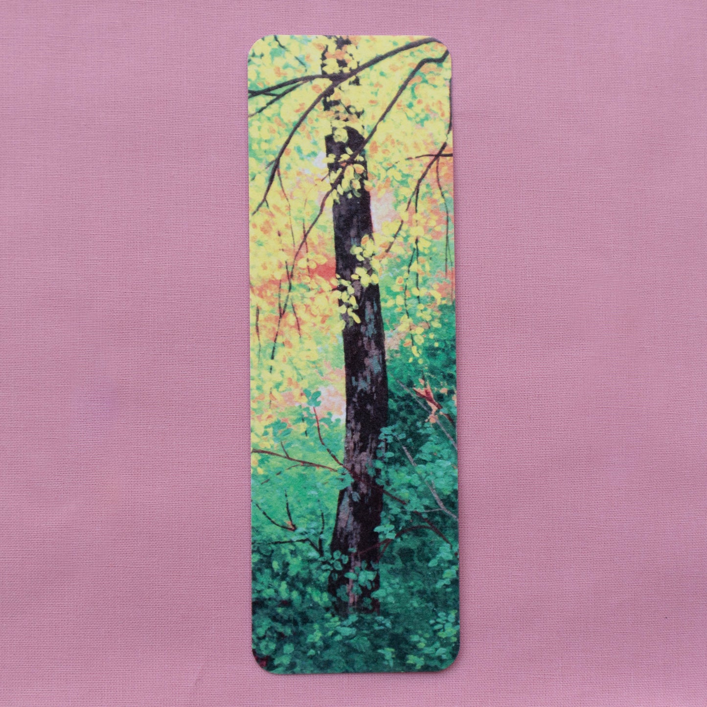 bookmark 5 pack - among the trees