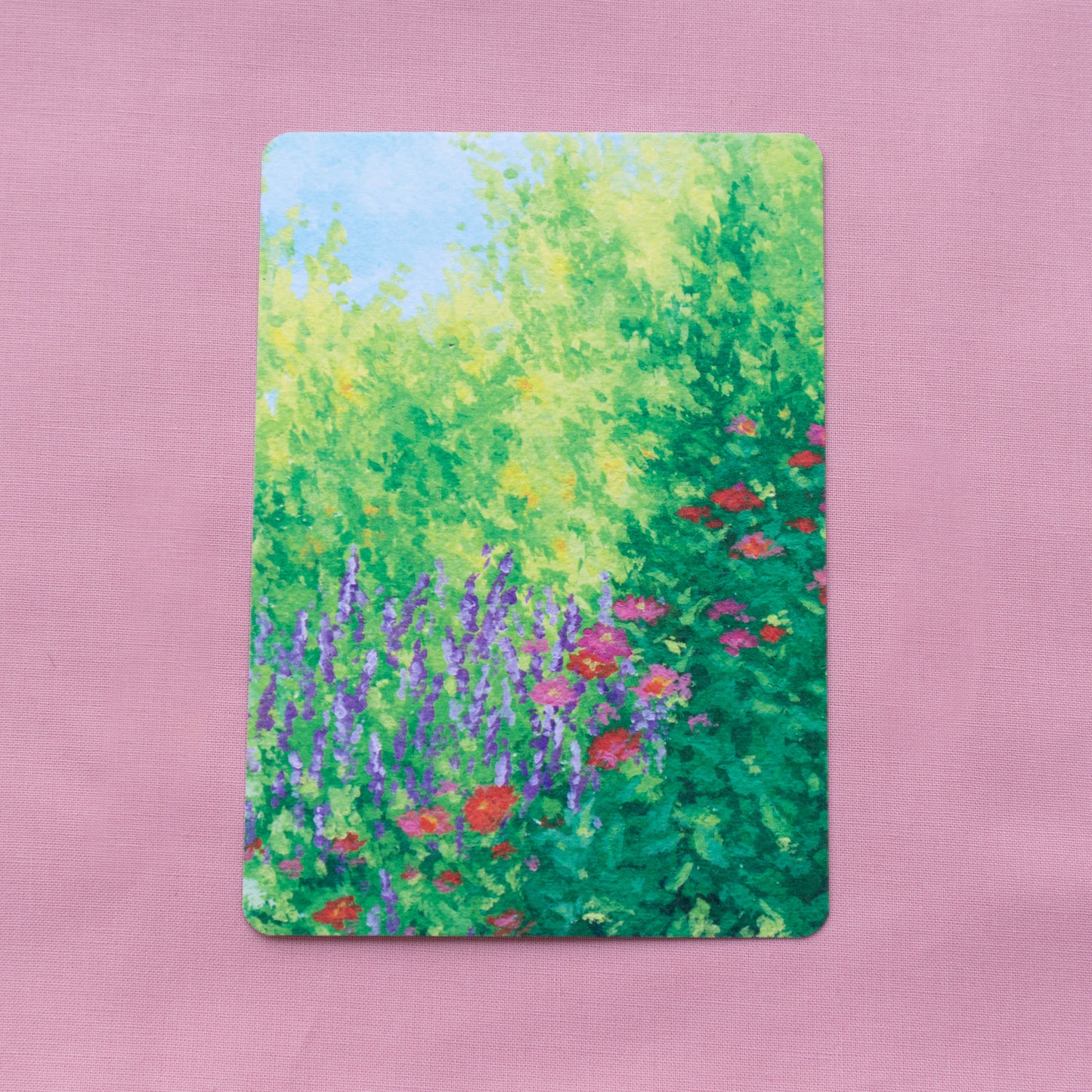 postcard 5 pack - flora