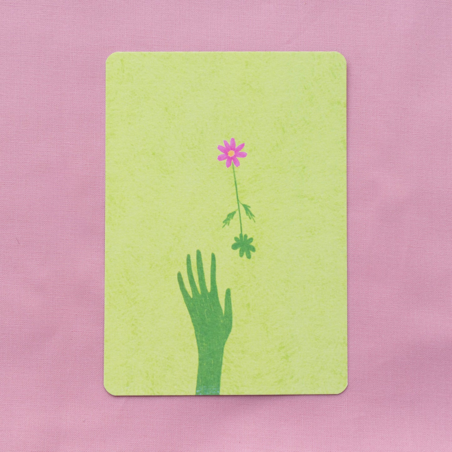 postcard 5 pack - in the garden