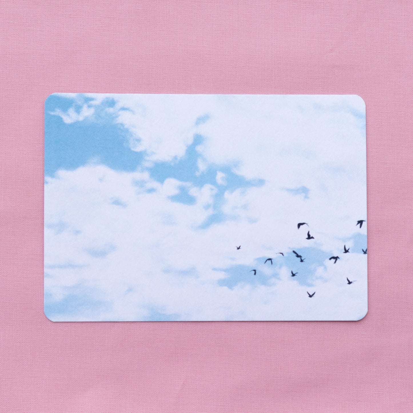 postcard 5 pack - contemplations