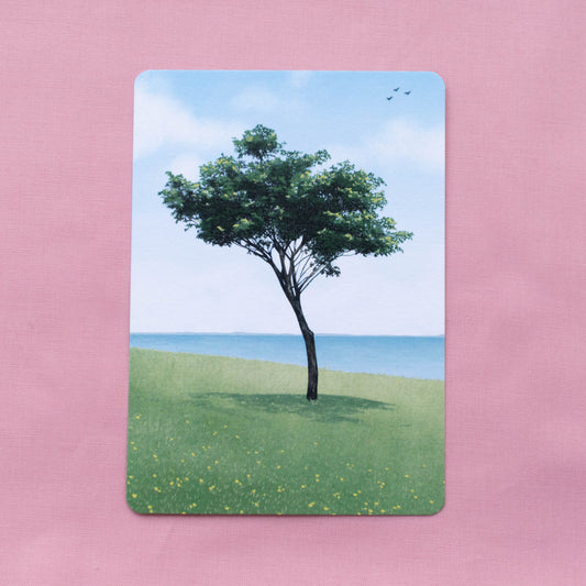 single postcard - discontinued designs