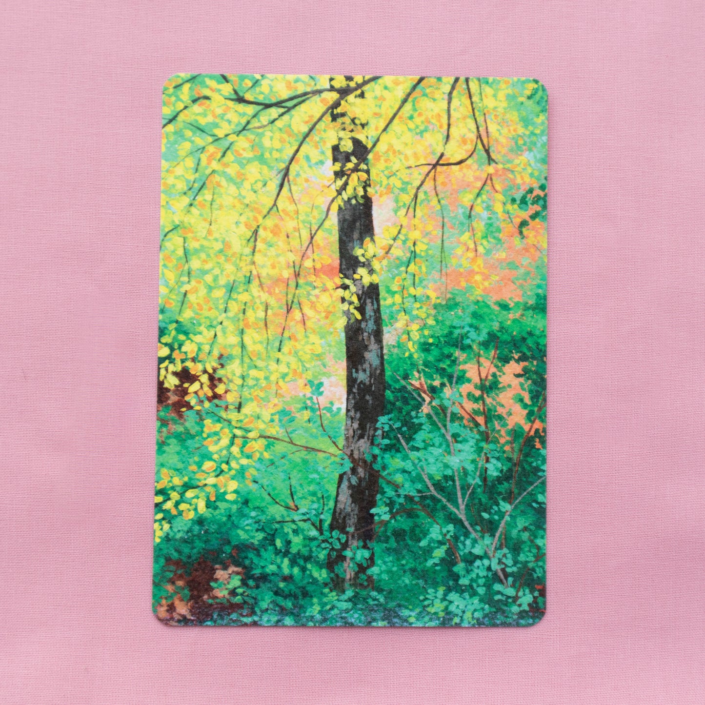 postcard 5 pack - painterly