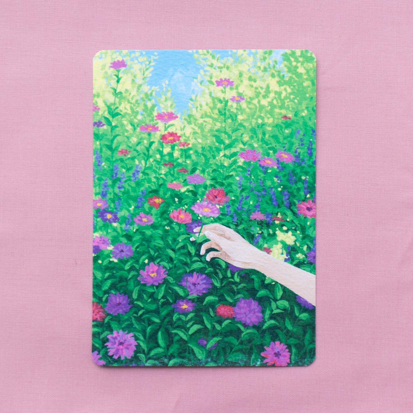 postcard 5 pack - painterly