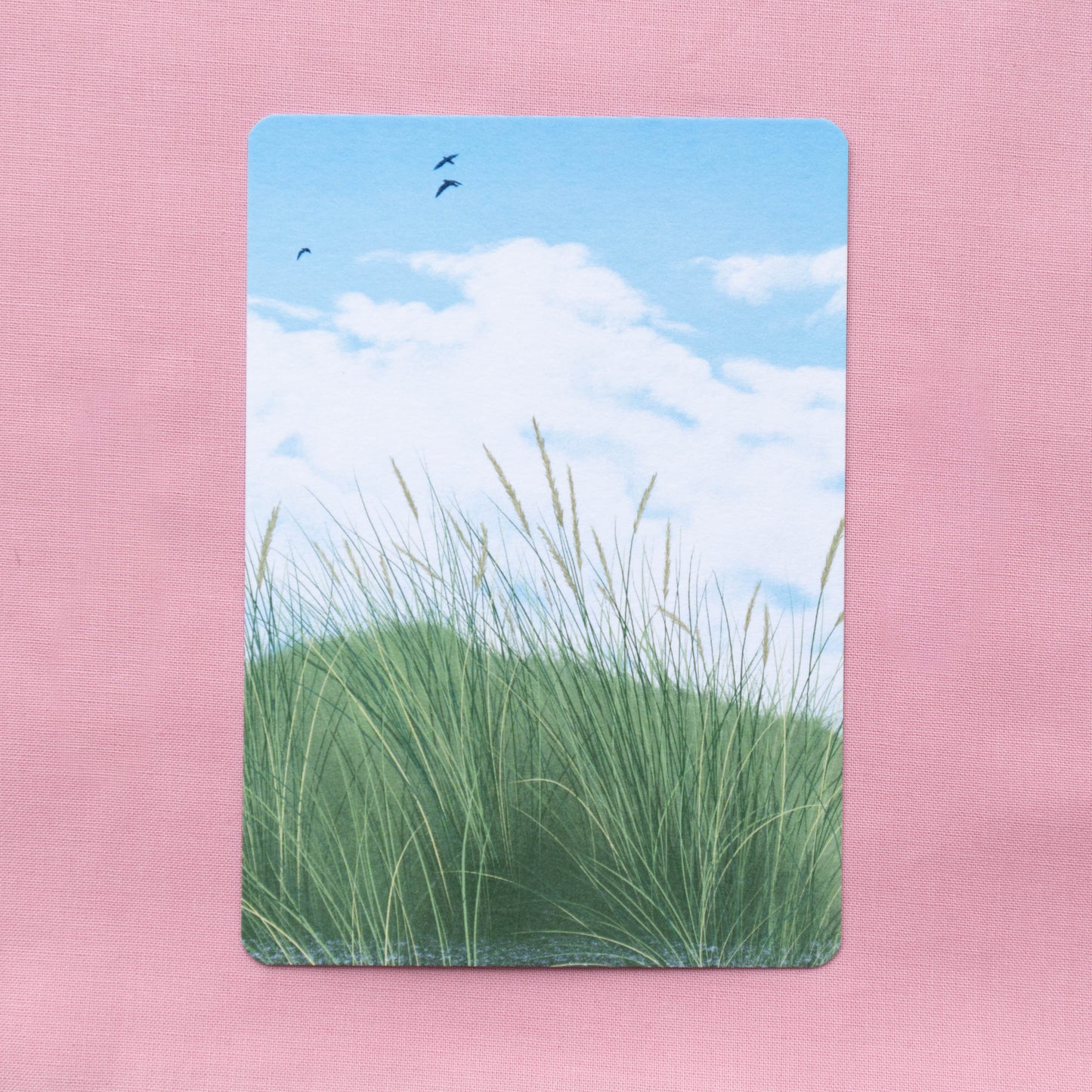 postcard 5 pack - contemplations