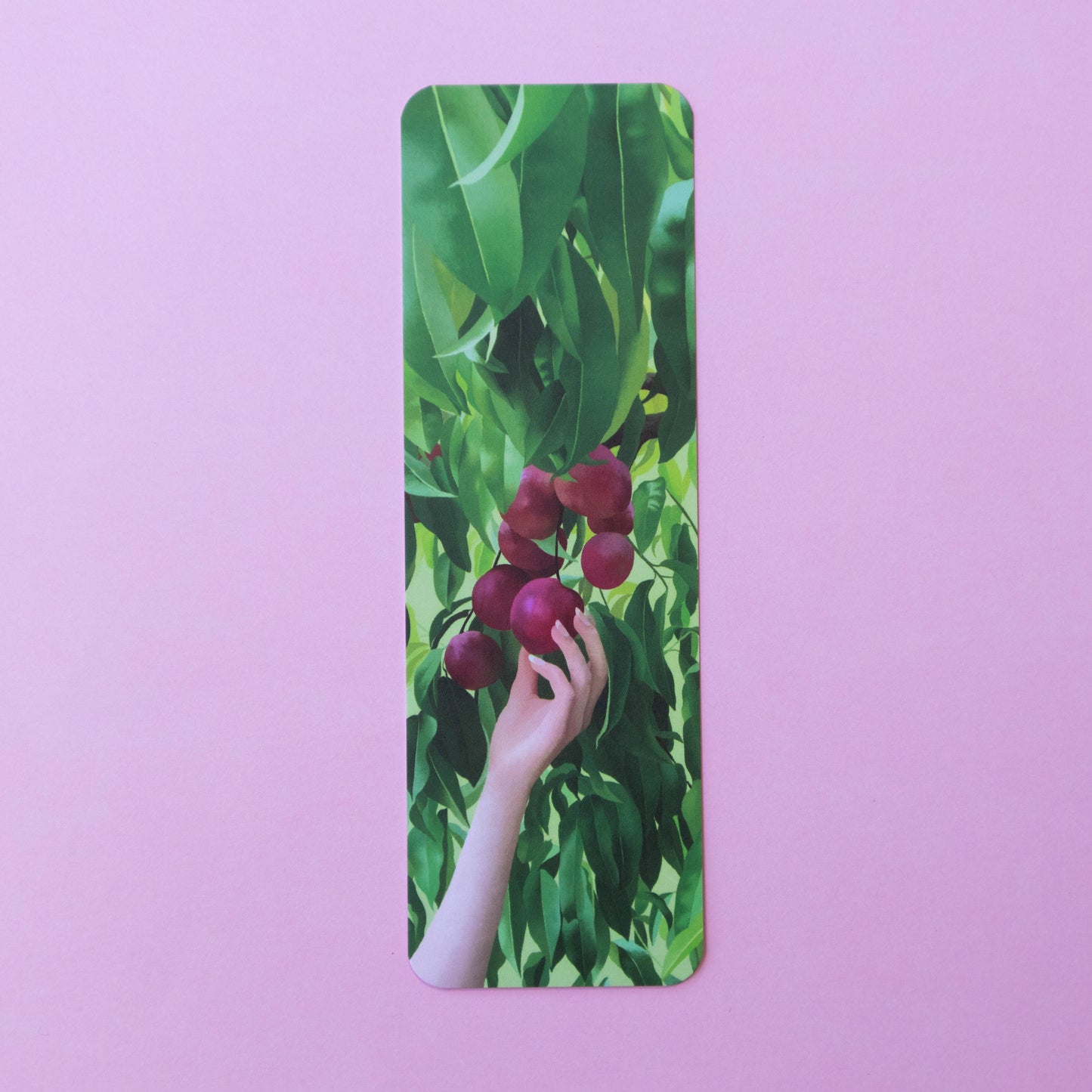 single bookmark - ripening nectarines