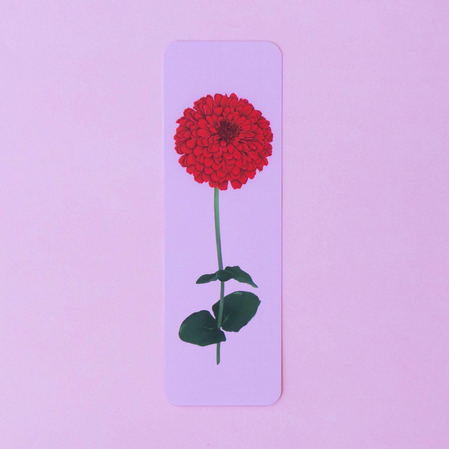 single bookmark - zinnia stem