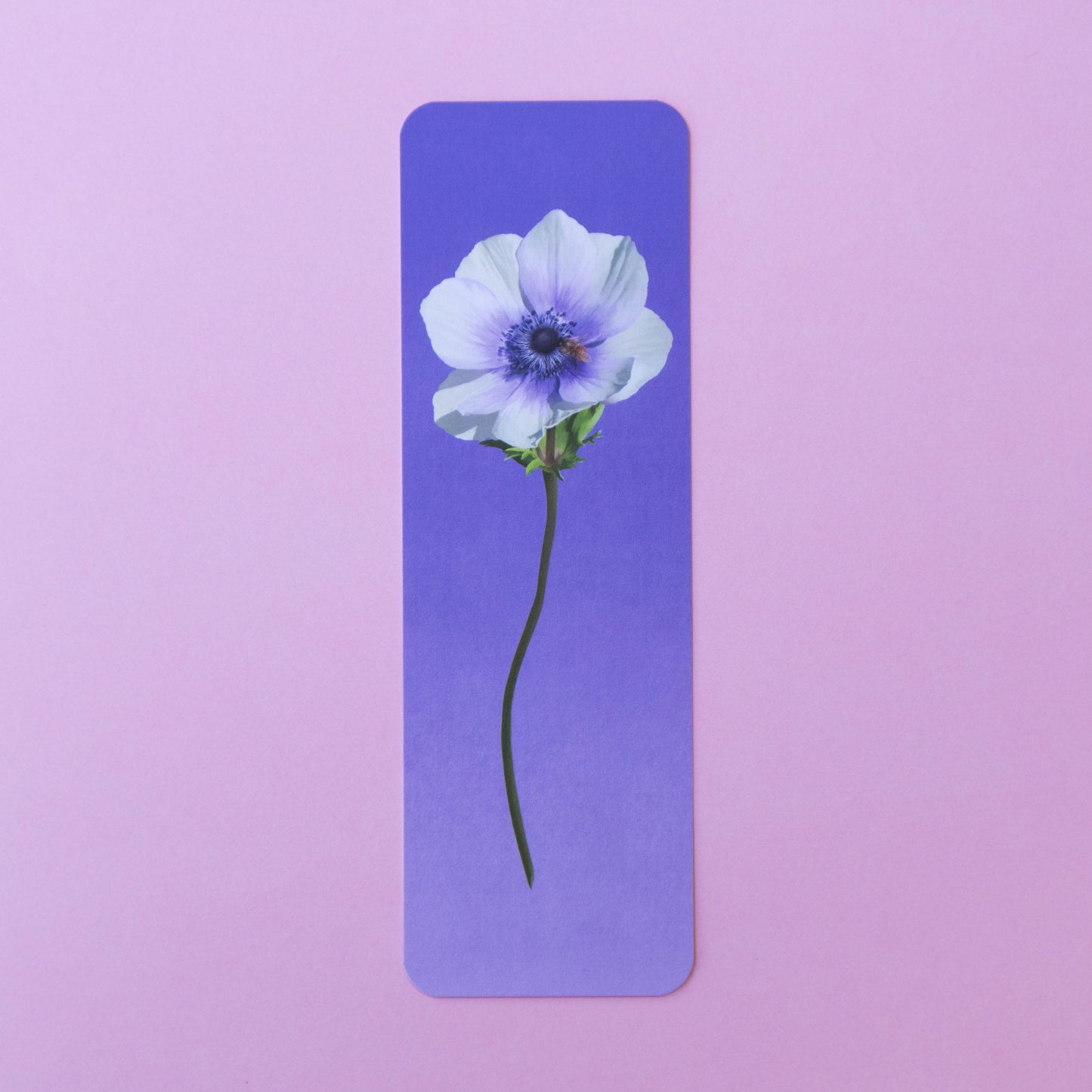 single bookmark - anemone stem