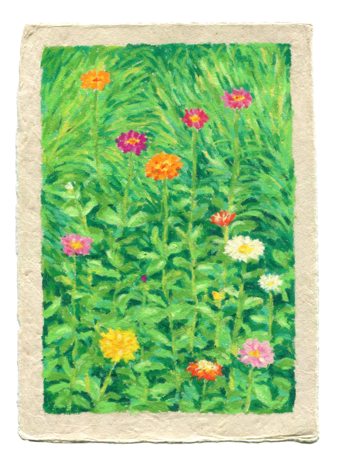 oil pastel garden #10 - original