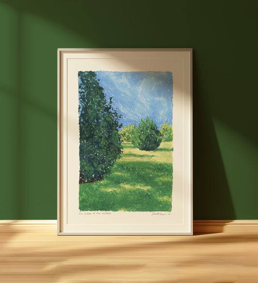 the shade of the conifers - art print