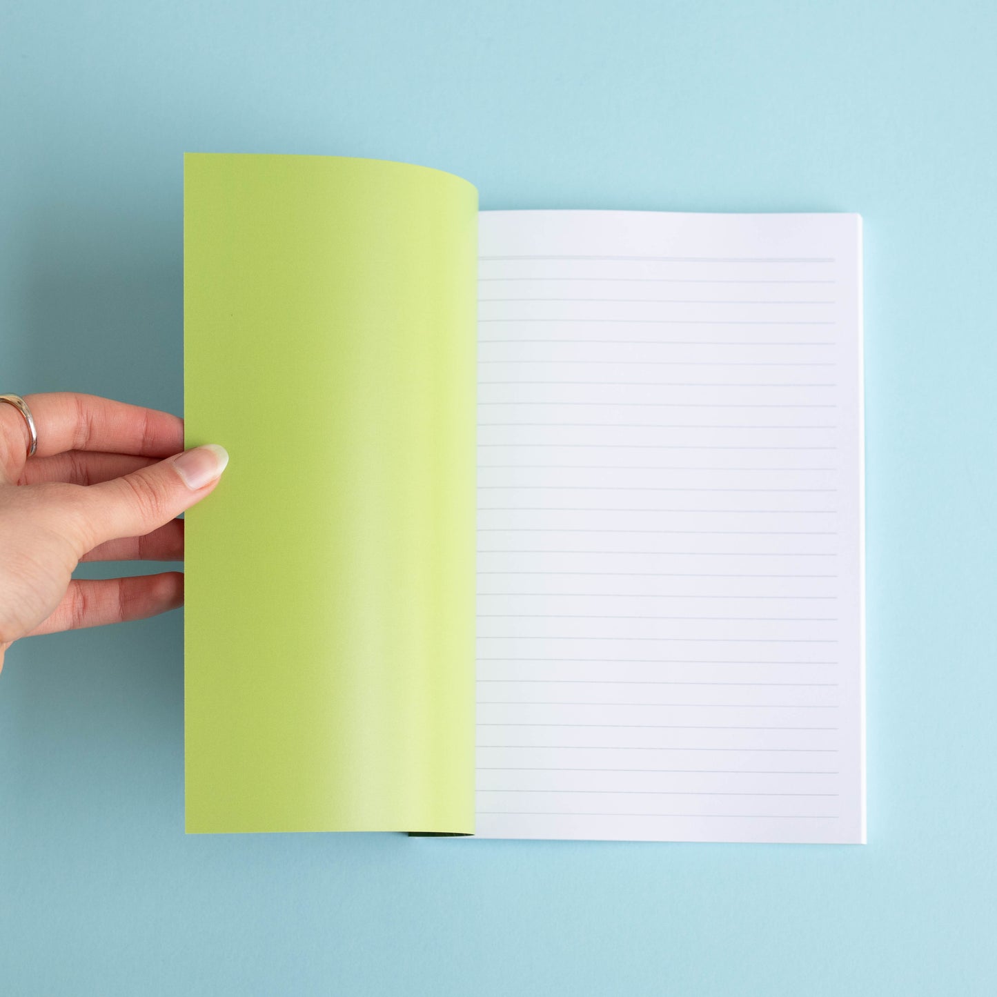 A5 notebook - grassy dunes