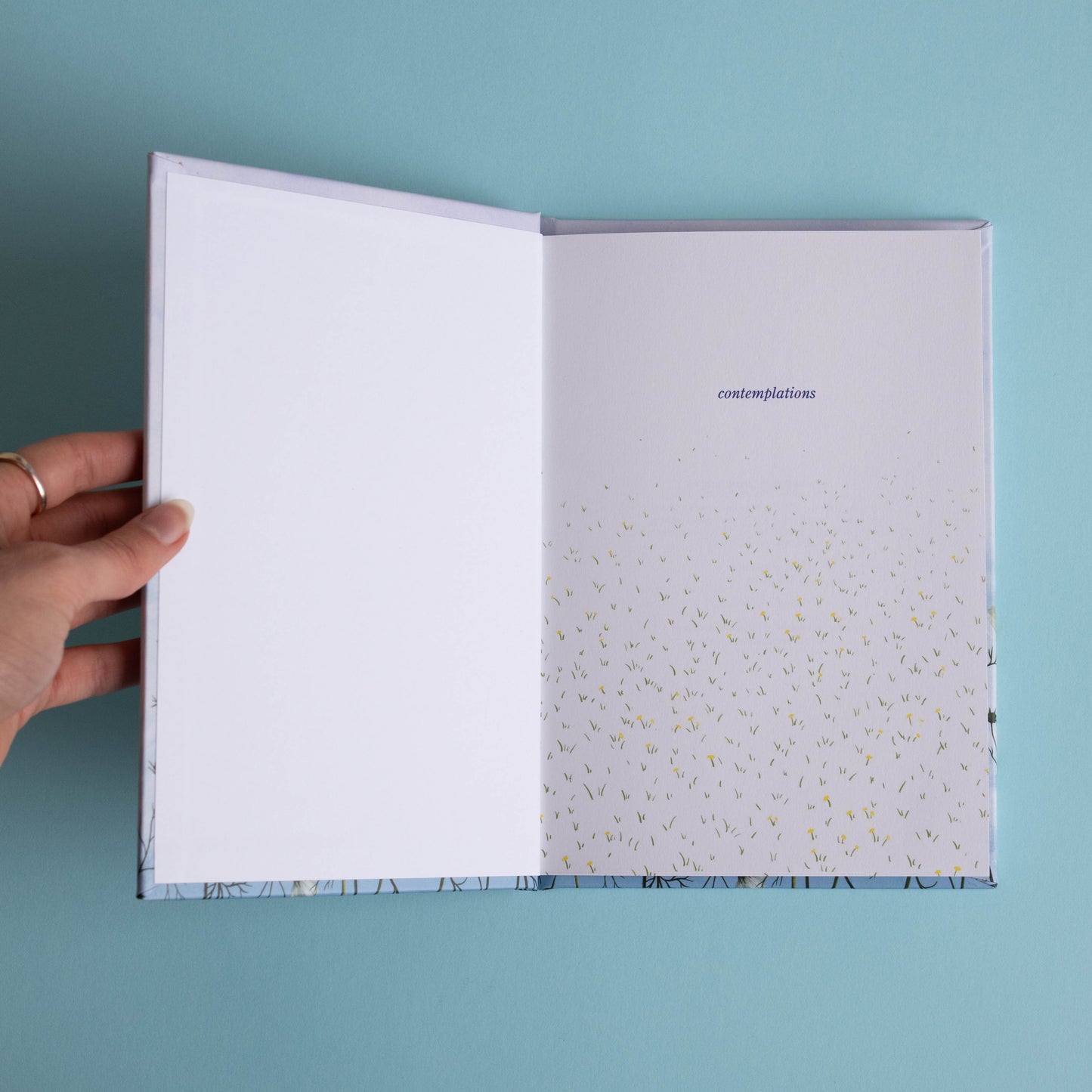 contemplations - poetry / art book