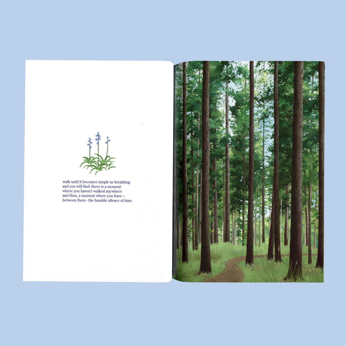 contemplations - poetry / art book