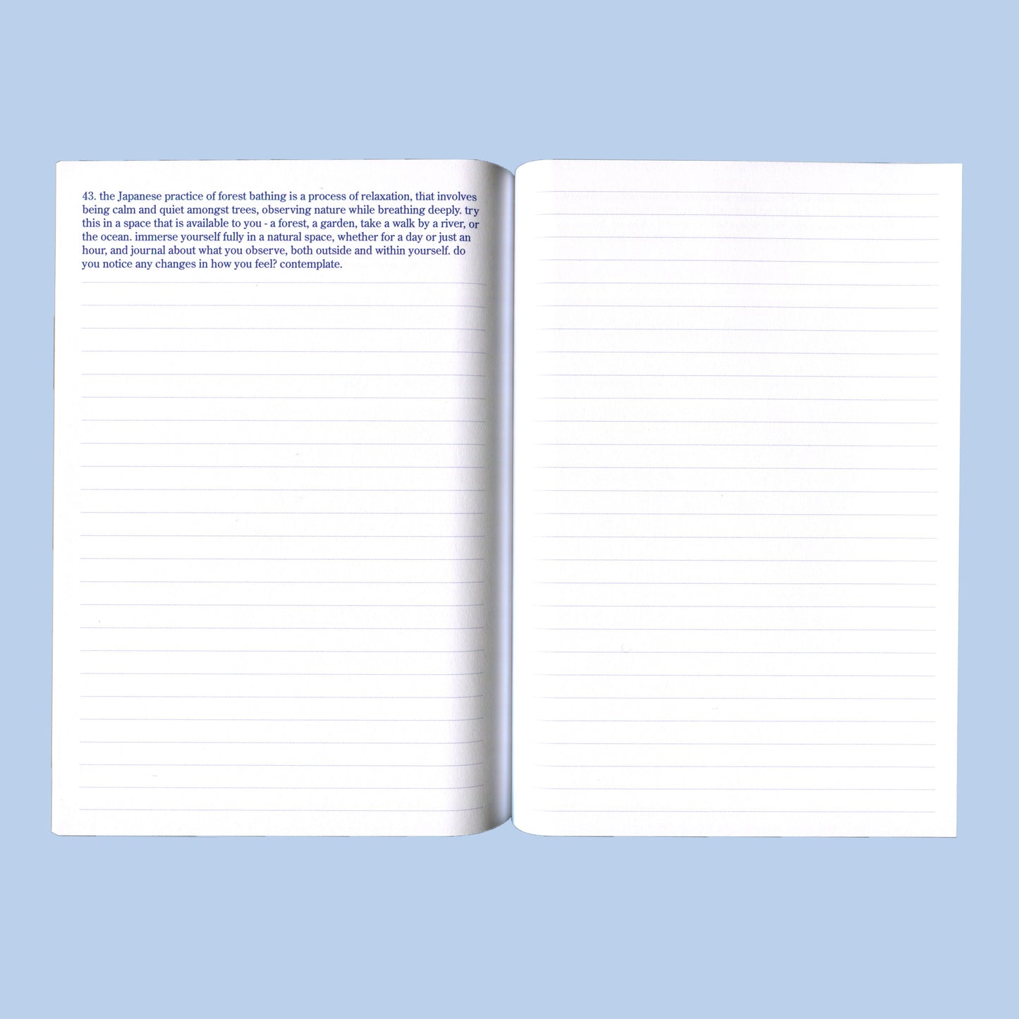 contemplations - guided journal