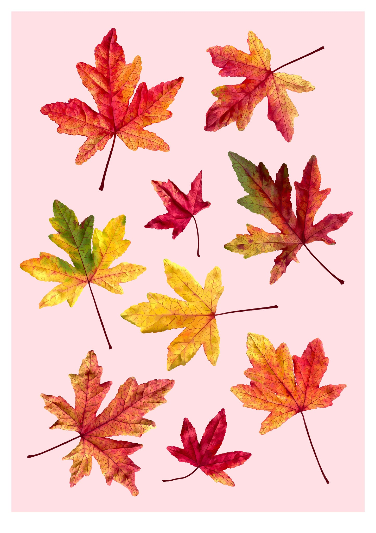 fallen leaves - art print