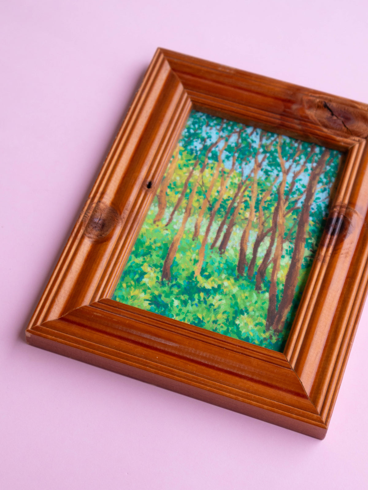 sunlight through the forest - framed original