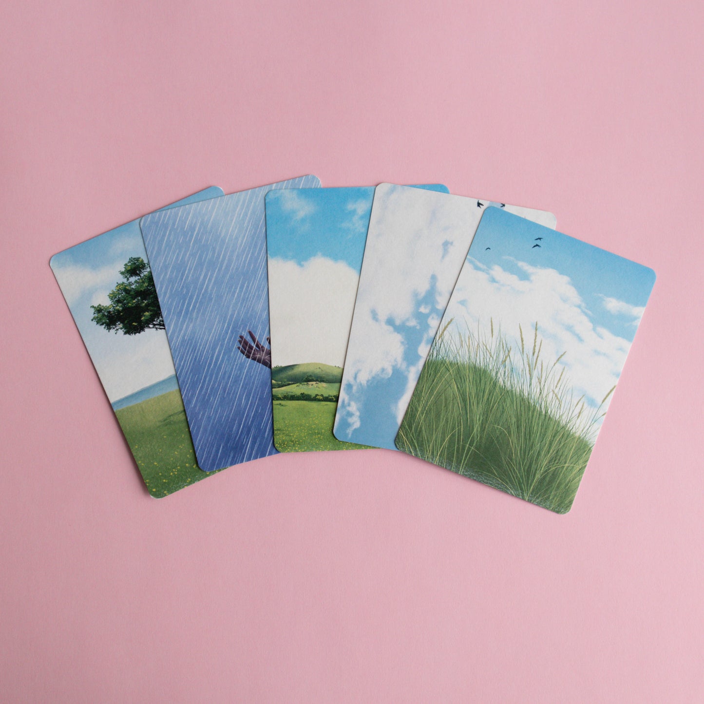 postcard 5 pack - contemplations