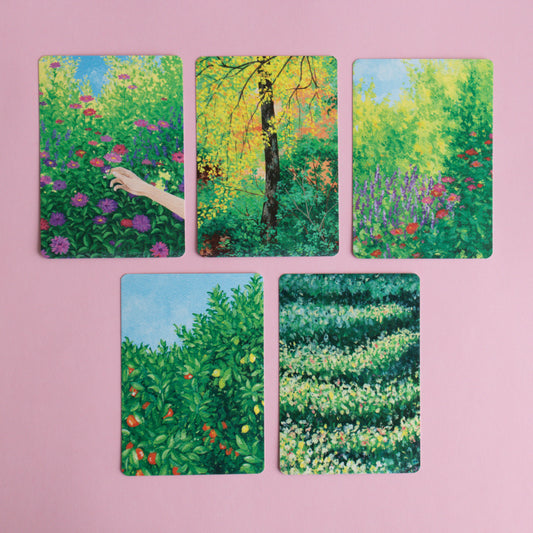 postcard 5 pack - painterly