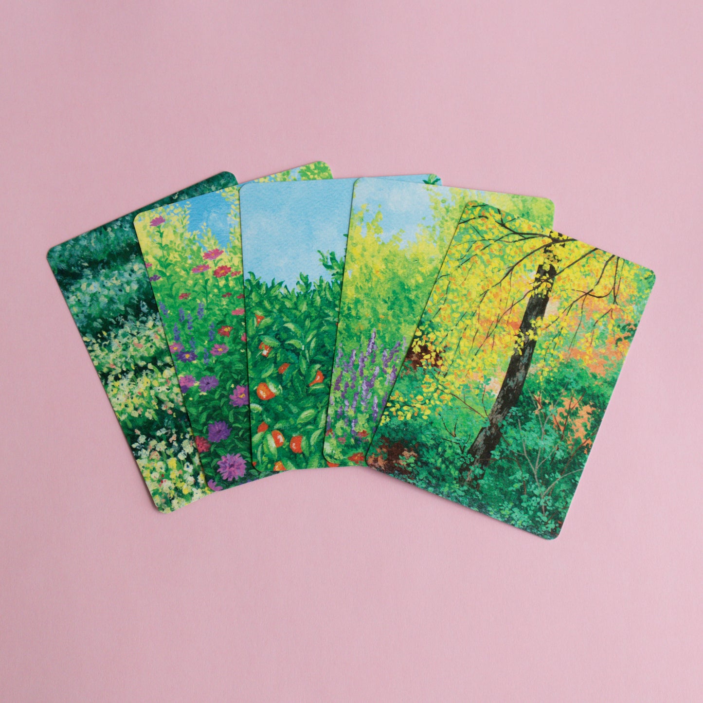 postcard 5 pack - painterly
