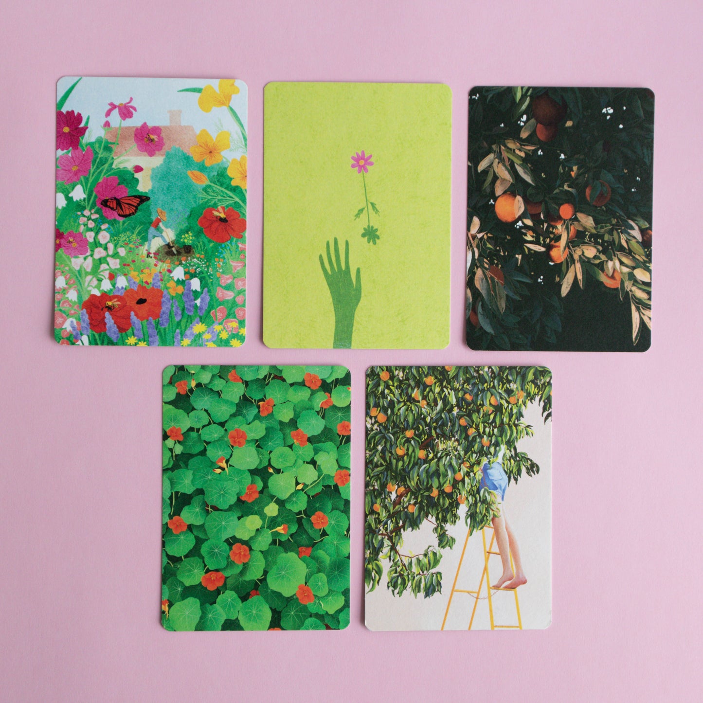 postcard 5 pack - in the garden