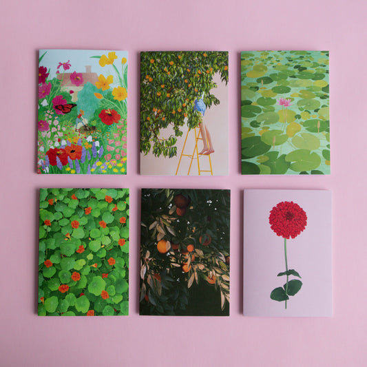 greeting card 6 pack - in the garden