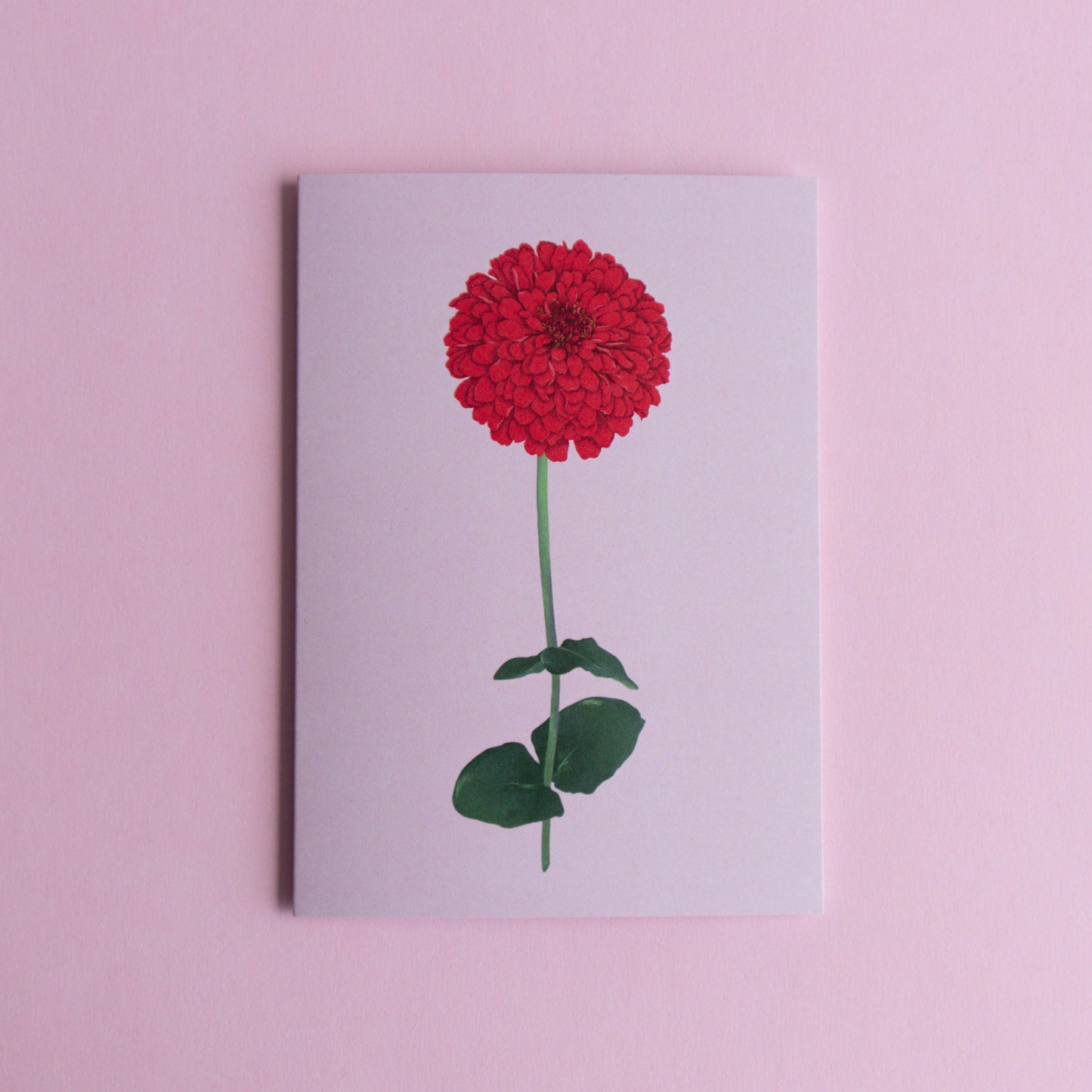 greeting card - zinnia stem