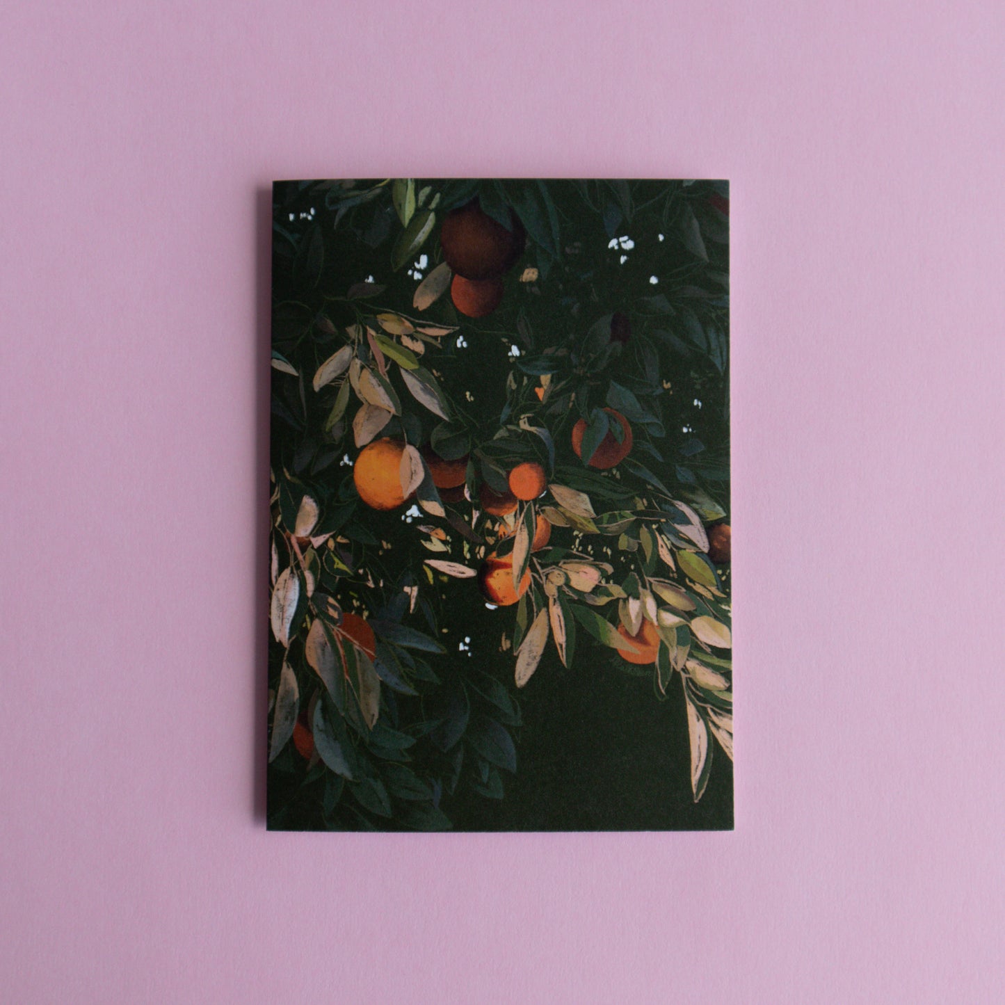 greeting card 6 pack - in the garden