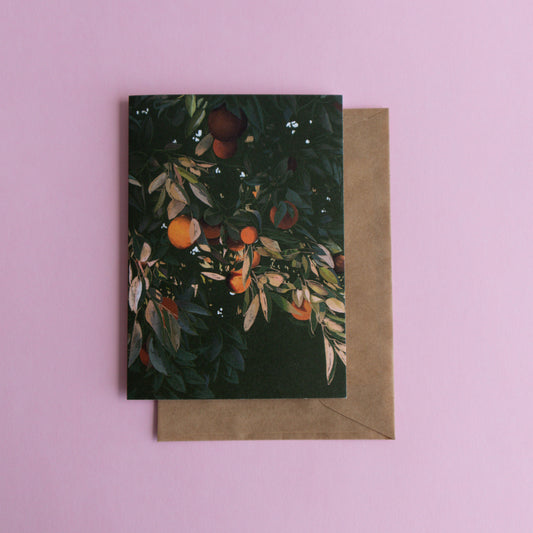 greeting card - tangelo tree