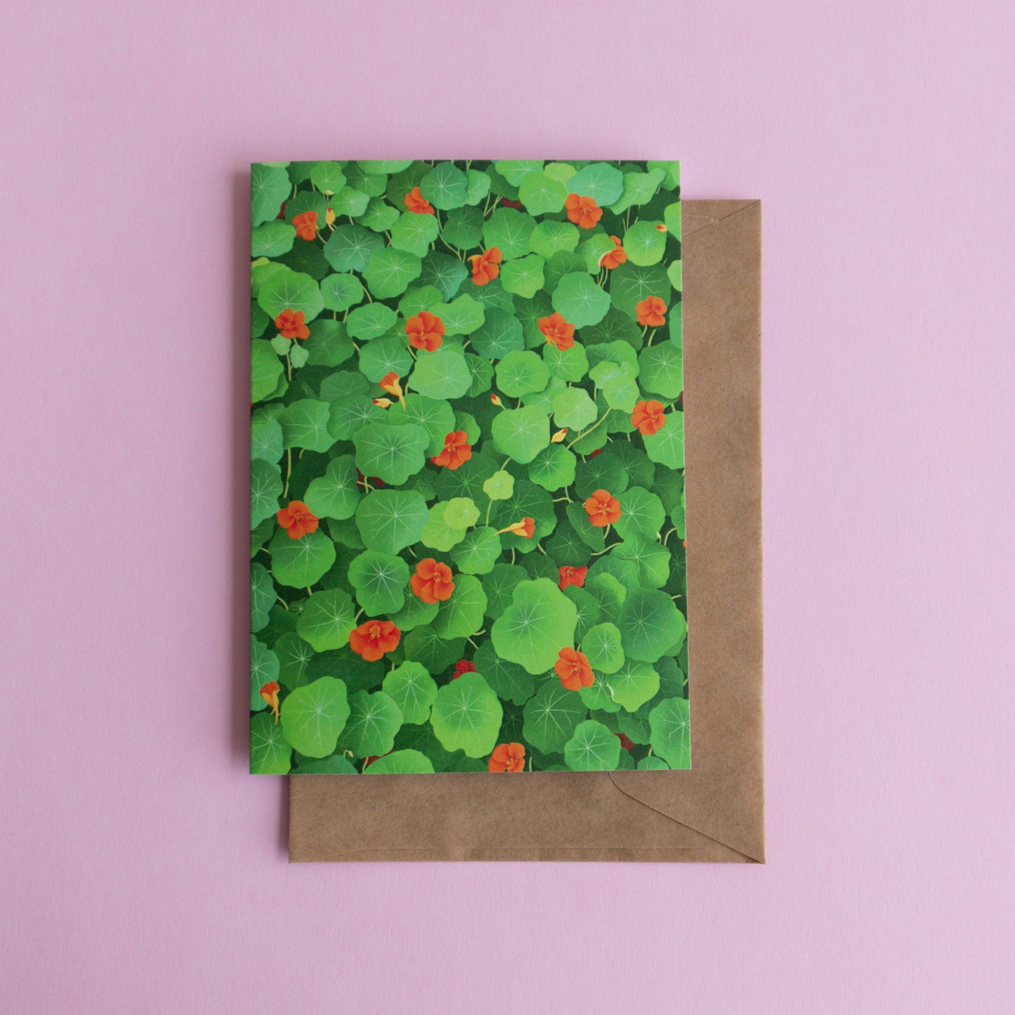 greeting card 6 pack - spring has sprung