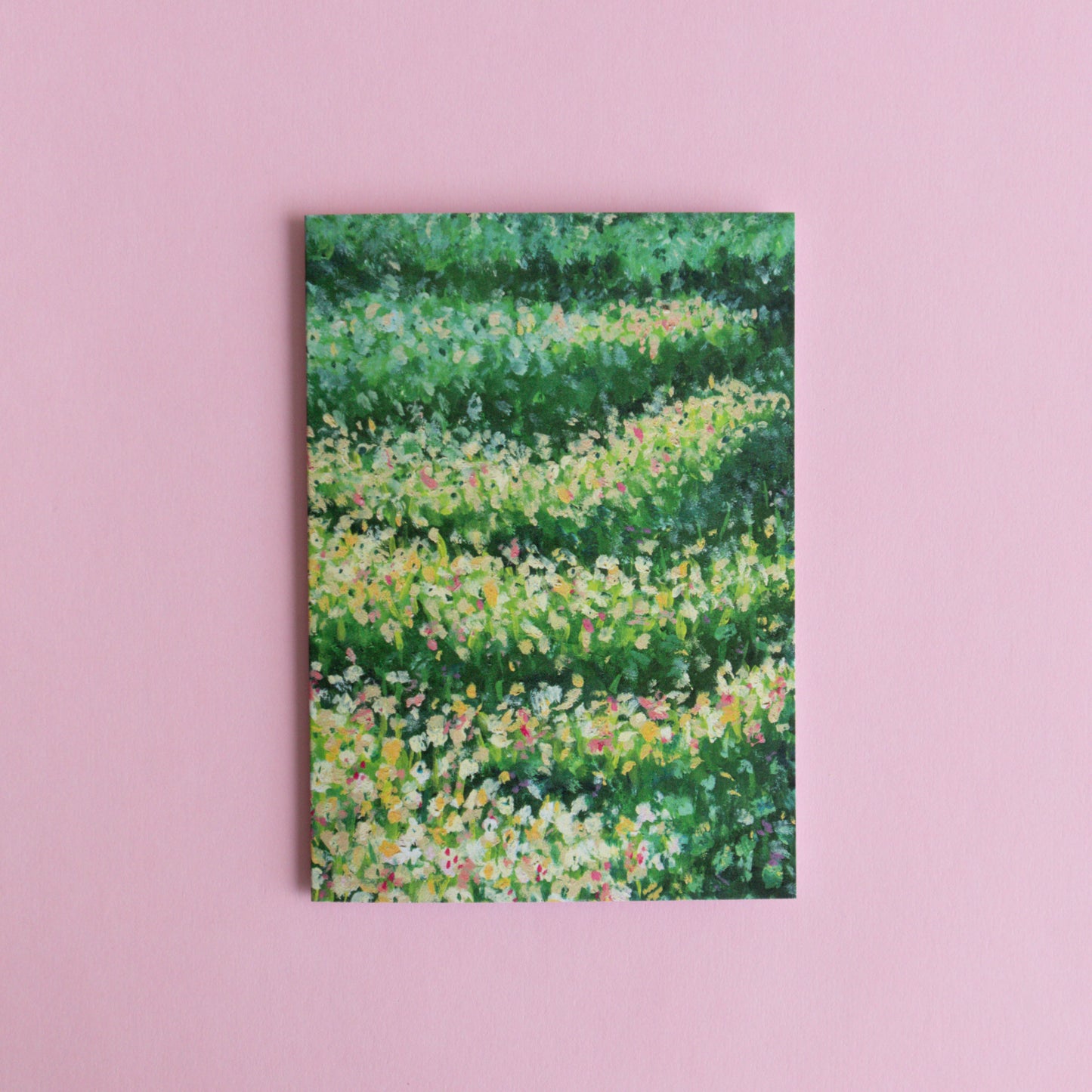 greeting card 6 pack - painterly