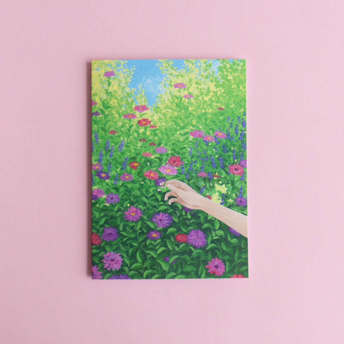 greeting card 6 pack - painterly