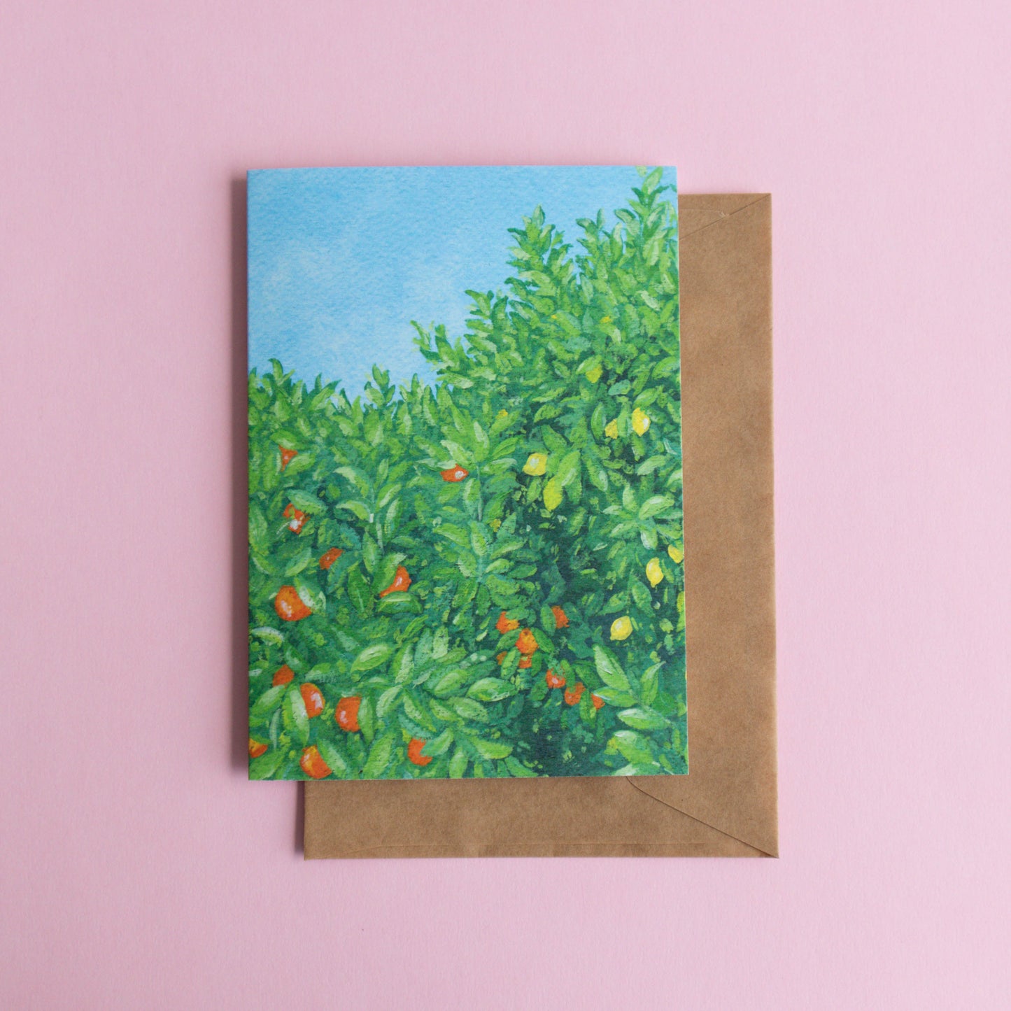 greeting card 6 pack - cool seasons