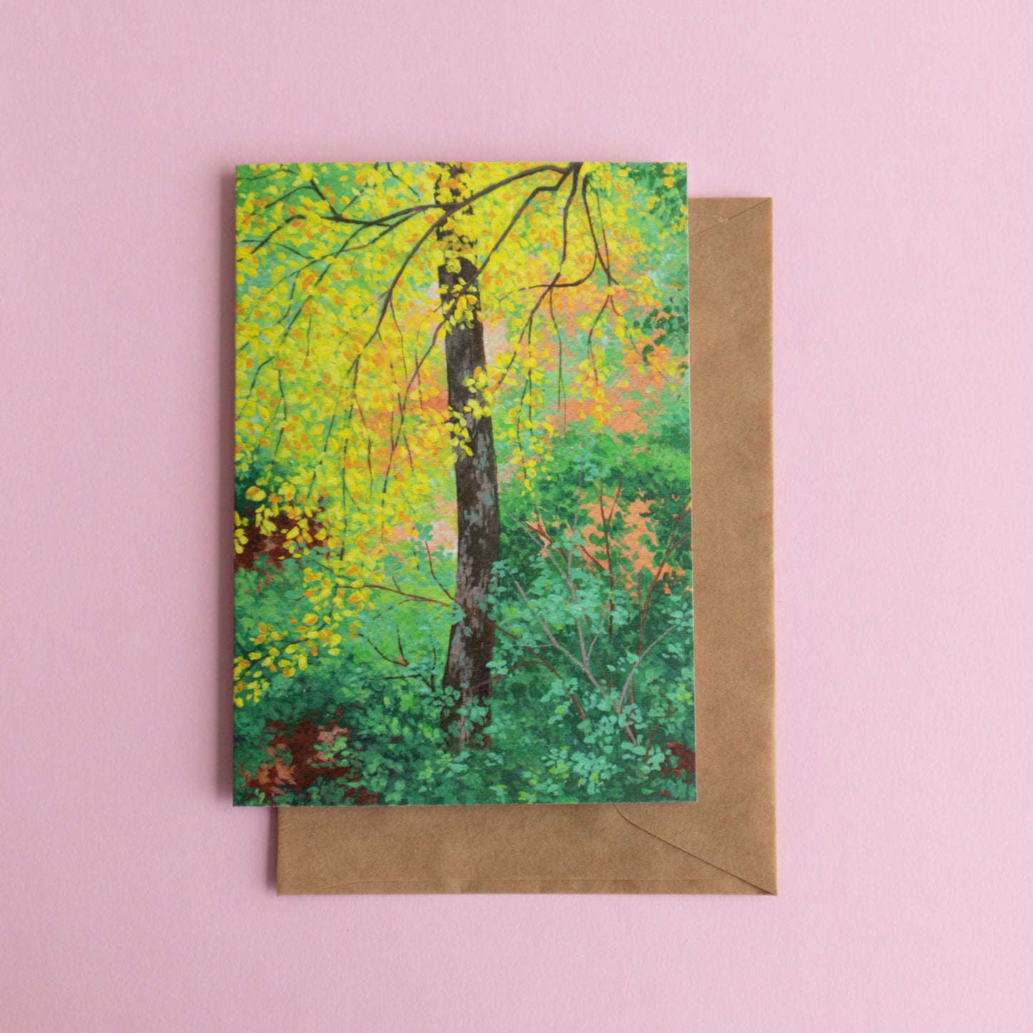 greeting card 6 pack - cool seasons