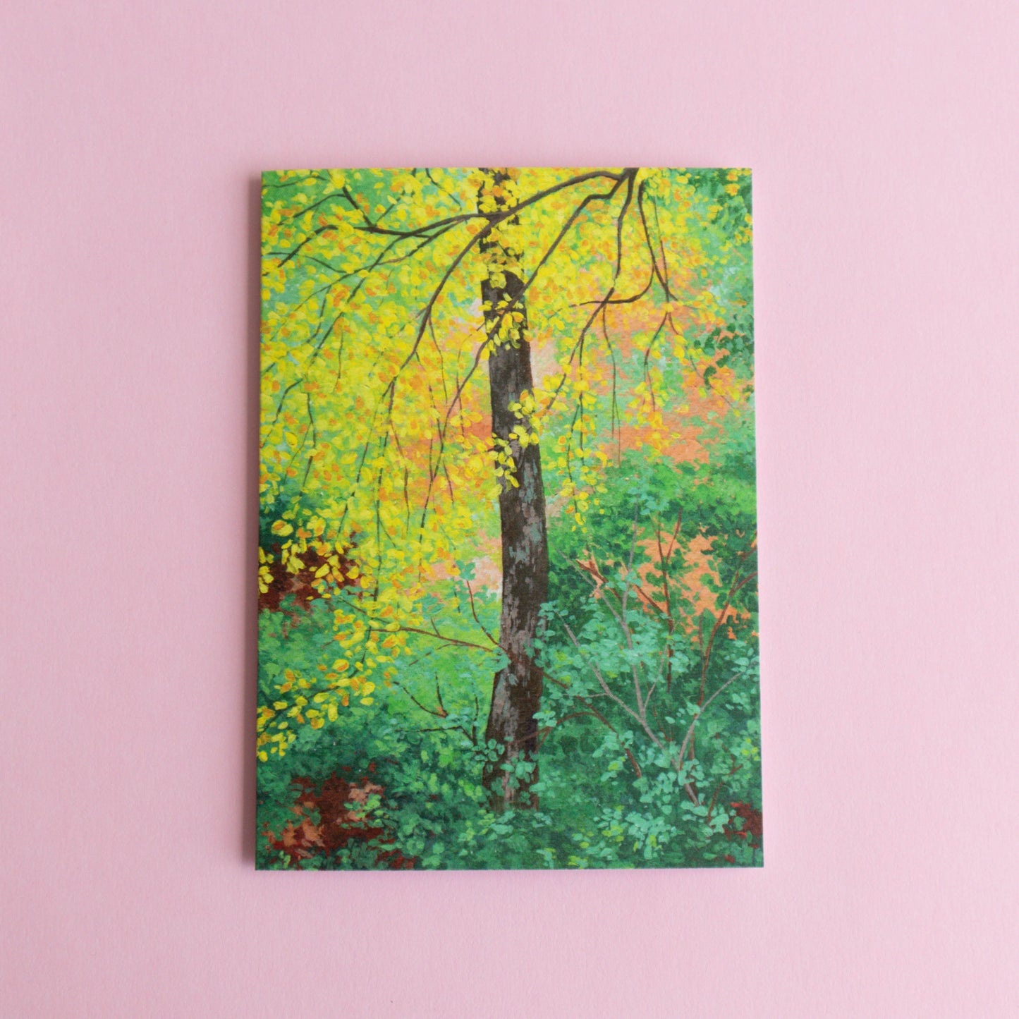 greeting card 6 pack - painterly