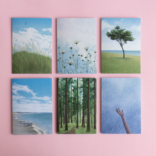greeting card 6 pack - contemplations
