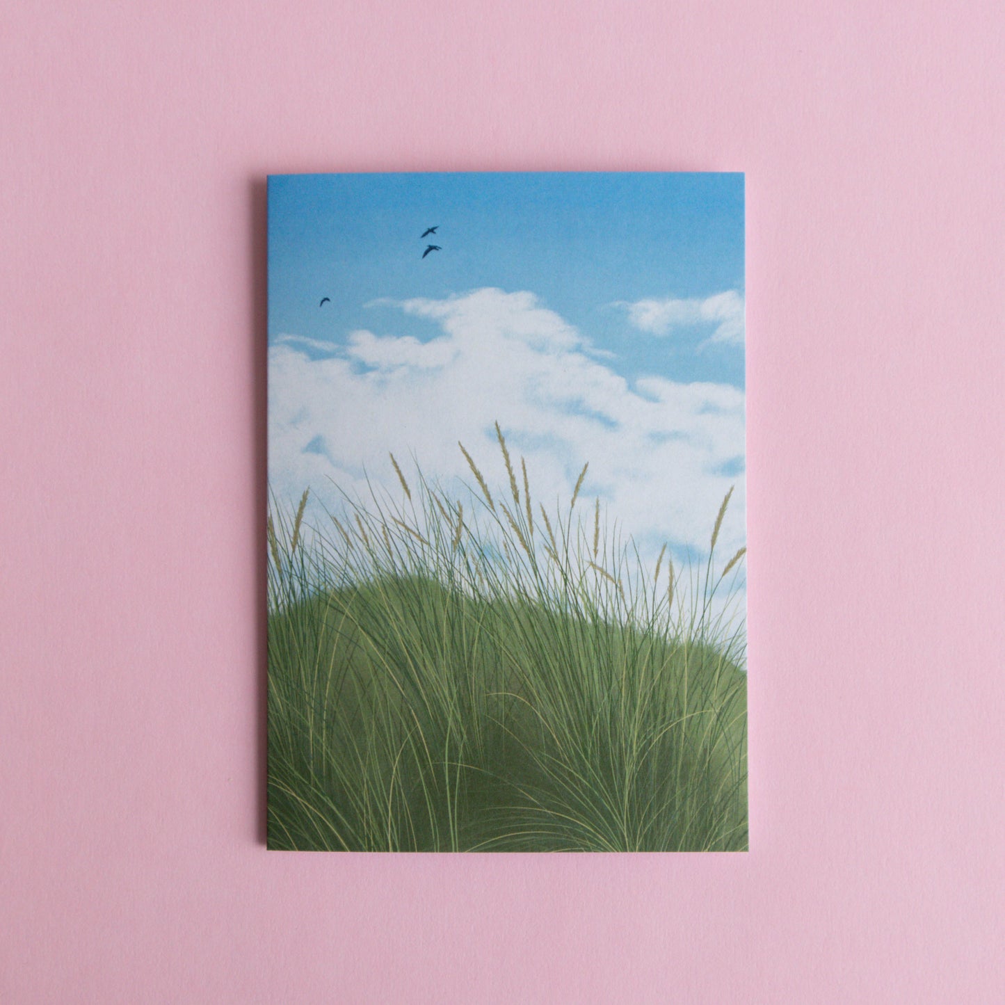 greeting card 6 pack - contemplations