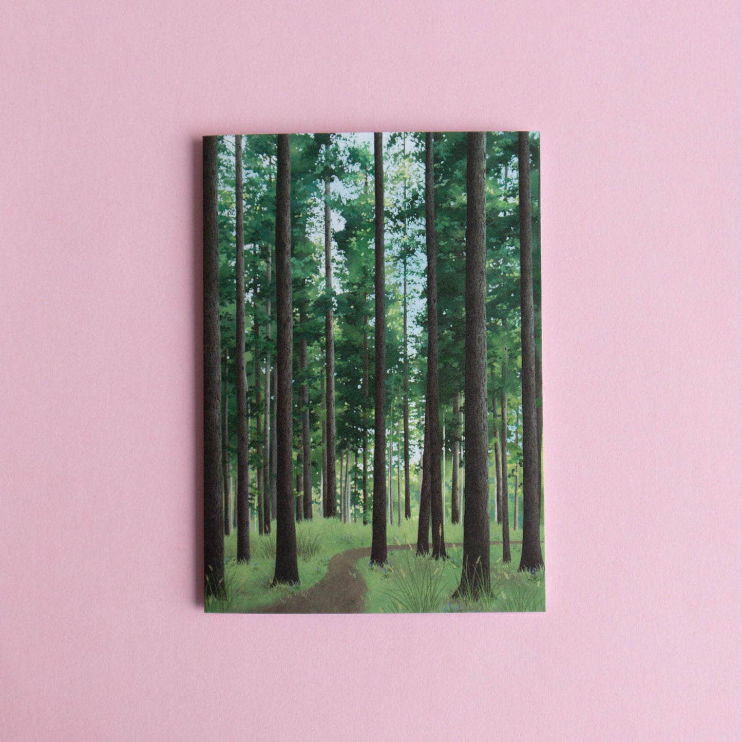 greeting card - path through the forest