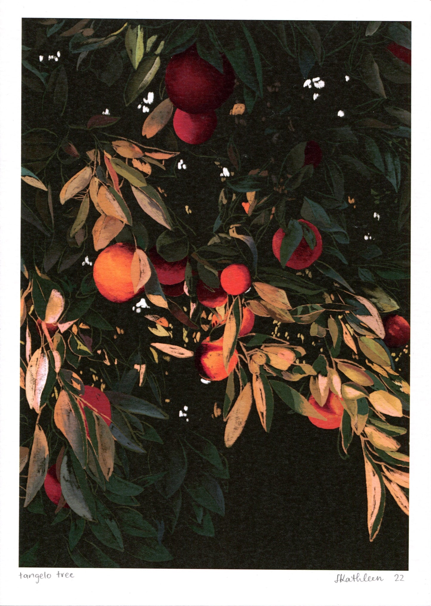 tangelo tree - art print