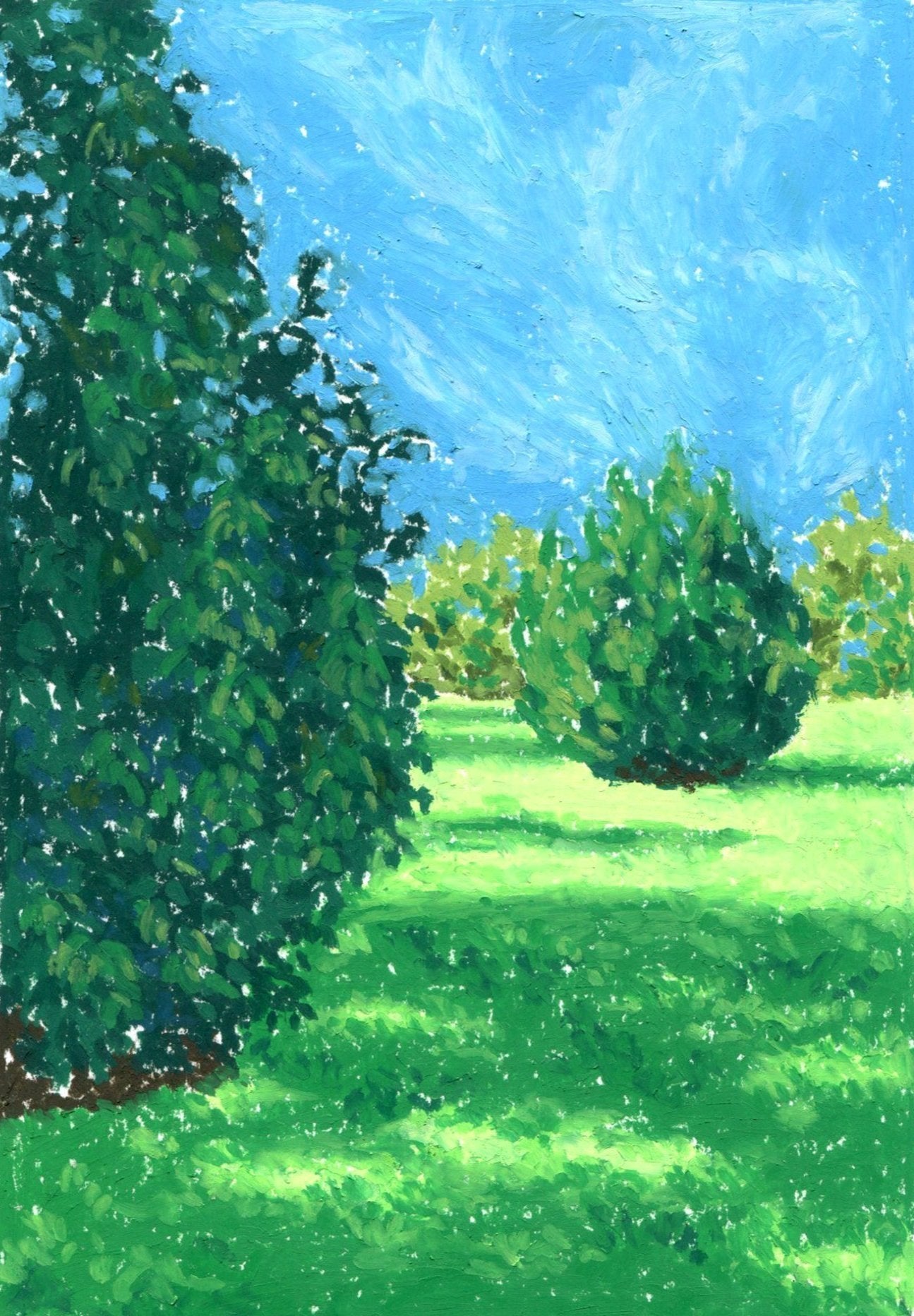 the shade of the conifers - art print