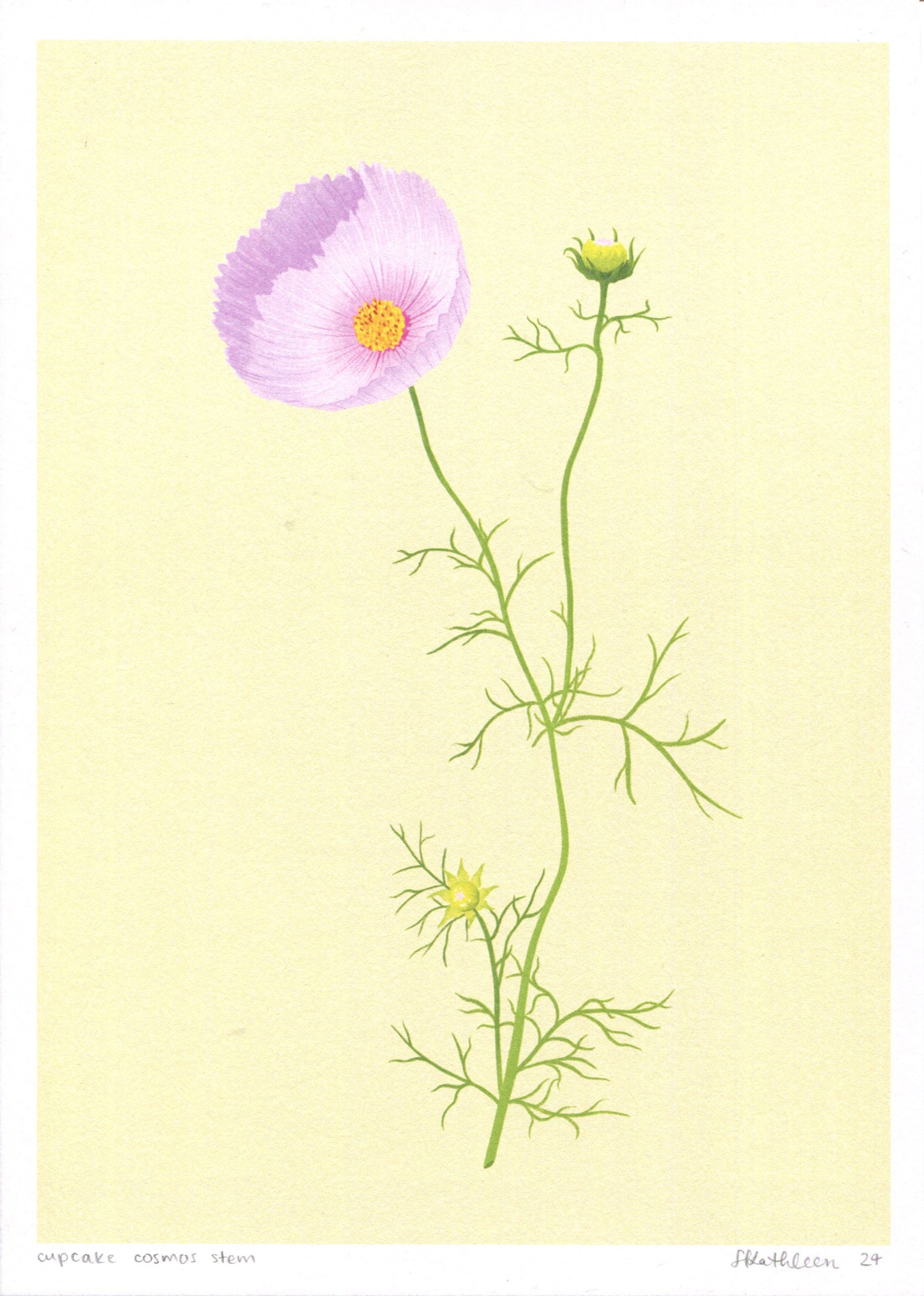 cupcake cosmos stem - art print