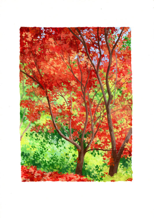 flaming foliage - framed original painting