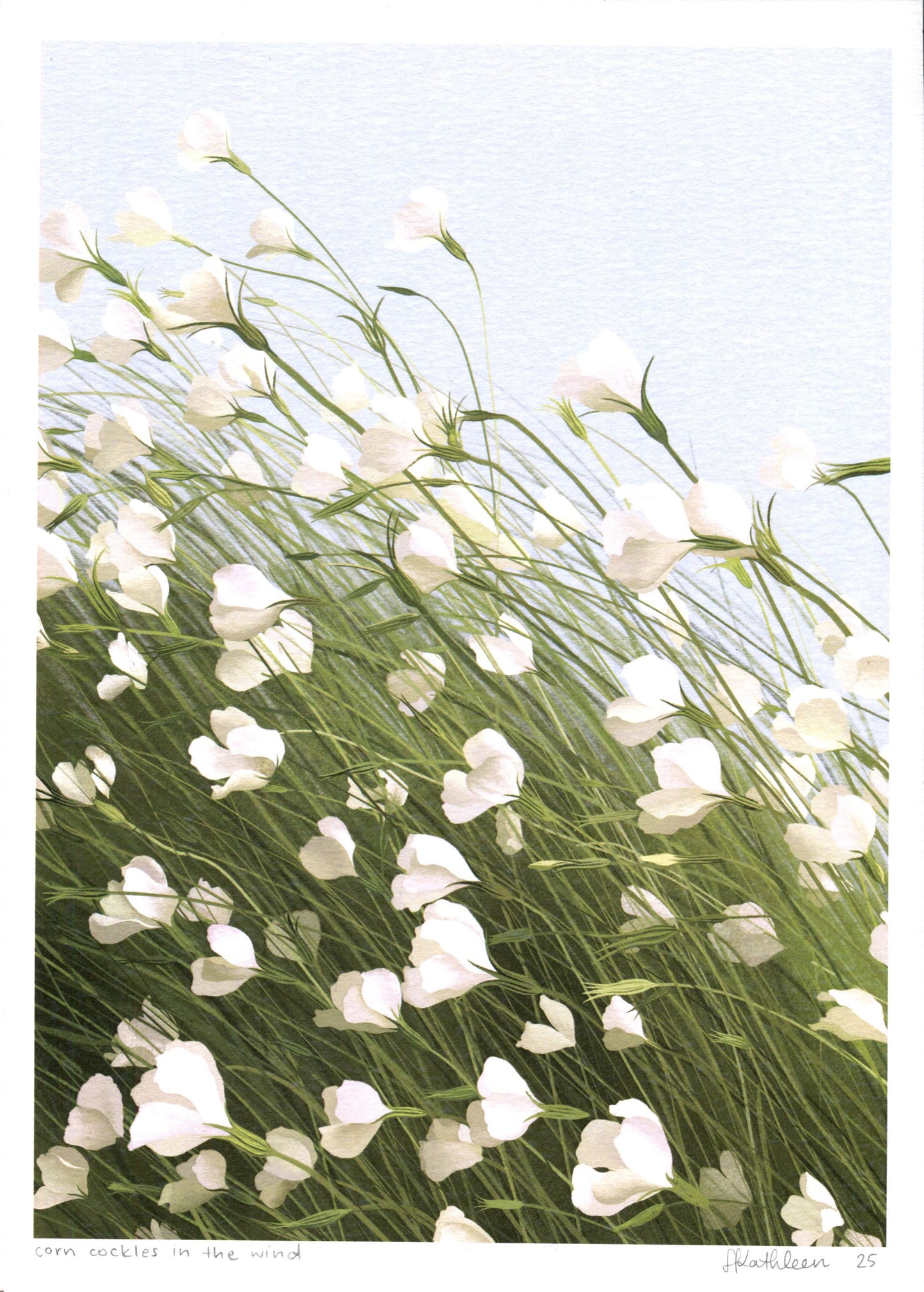 corn cockles in the wind - art print