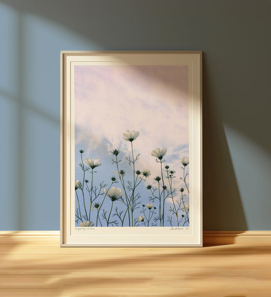 lingering cosmos - art print